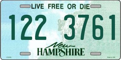 NH license plate 1223761
