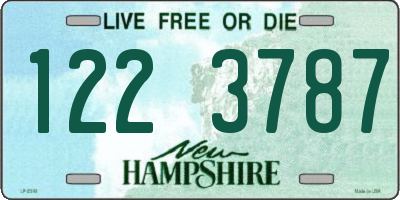NH license plate 1223787