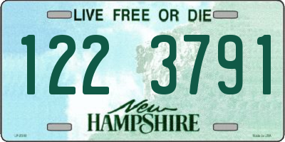 NH license plate 1223791