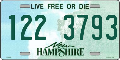 NH license plate 1223793