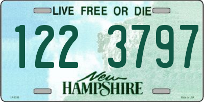 NH license plate 1223797