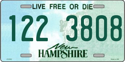 NH license plate 1223808