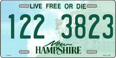 NH license plate 1223823