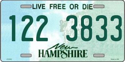 NH license plate 1223833