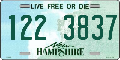 NH license plate 1223837