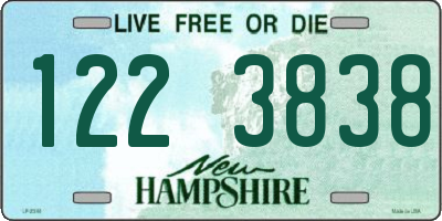 NH license plate 1223838