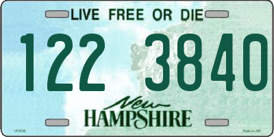 NH license plate 1223840