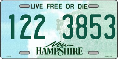 NH license plate 1223853