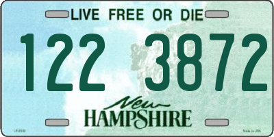 NH license plate 1223872