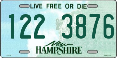 NH license plate 1223876