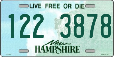 NH license plate 1223878