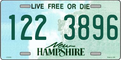 NH license plate 1223896