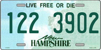 NH license plate 1223902
