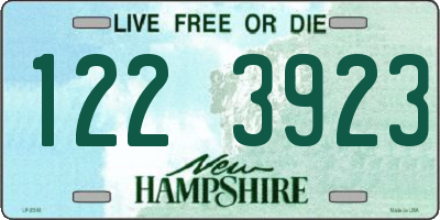NH license plate 1223923