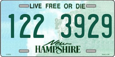 NH license plate 1223929