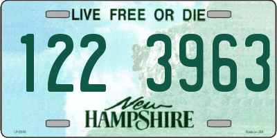 NH license plate 1223963