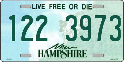 NH license plate 1223973