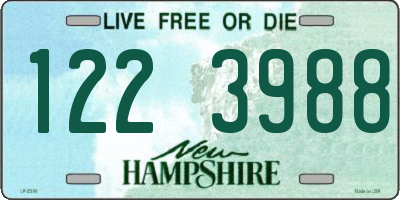NH license plate 1223988