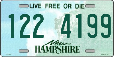 NH license plate 1224199