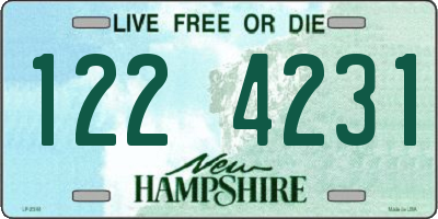 NH license plate 1224231