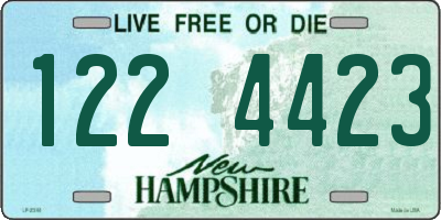 NH license plate 1224423