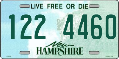 NH license plate 1224460