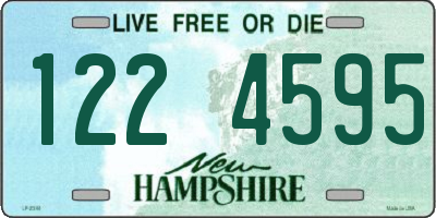 NH license plate 1224595