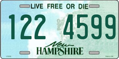 NH license plate 1224599