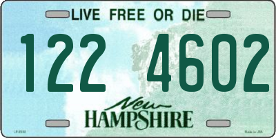 NH license plate 1224602