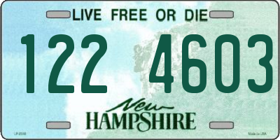 NH license plate 1224603