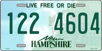 NH license plate 1224604