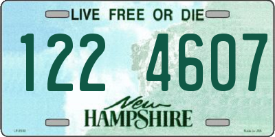 NH license plate 1224607