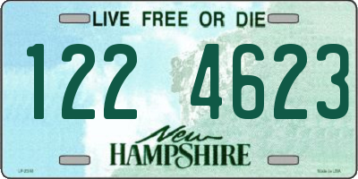 NH license plate 1224623