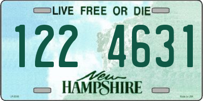 NH license plate 1224631