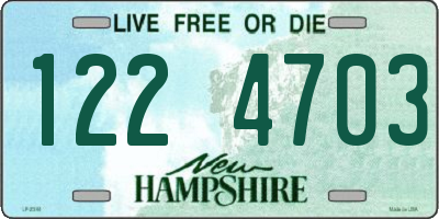 NH license plate 1224703