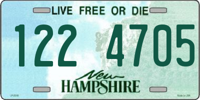 NH license plate 1224705