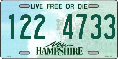 NH license plate 1224733