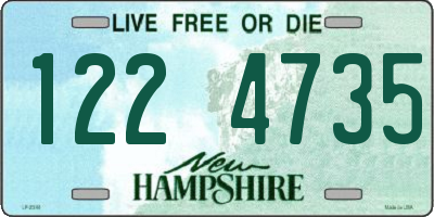 NH license plate 1224735