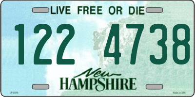 NH license plate 1224738