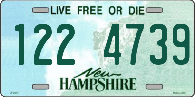NH license plate 1224739
