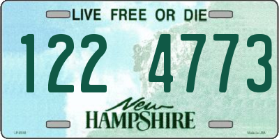 NH license plate 1224773