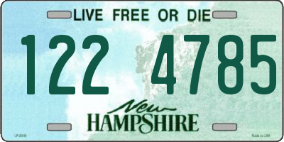 NH license plate 1224785