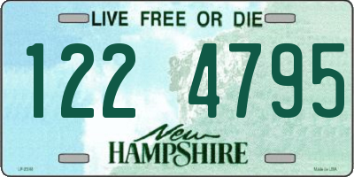 NH license plate 1224795