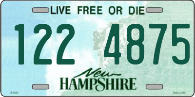 NH license plate 1224875