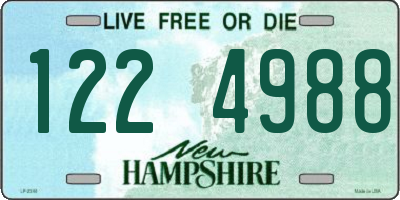 NH license plate 1224988