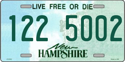 NH license plate 1225002