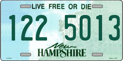 NH license plate 1225013