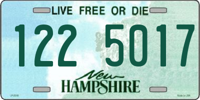 NH license plate 1225017