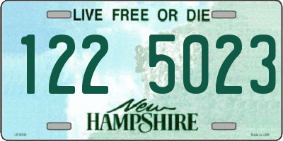 NH license plate 1225023