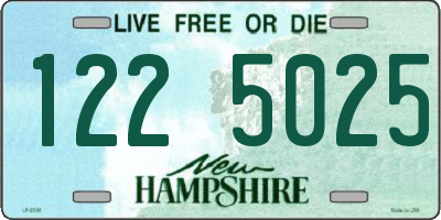 NH license plate 1225025
